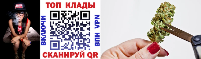 Купить закладку Отрадное ГАШИШ  МАРИХУАНА  КОКАИН  Меф 