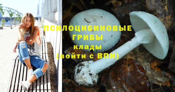 марки nbome Няндома